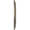 Ekena Millwork Dublin Ceiling Medallion (Fits Canopies up to 5 1/8"), 17 7/8"OD x 3 5/8"ID x 1 1/4"P, Warm Silver CM17DUWSS - alternate 4